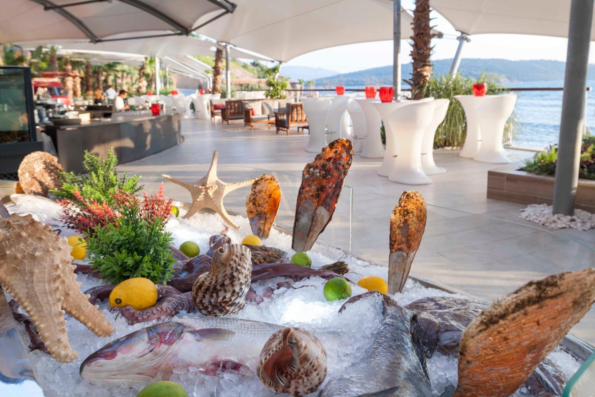 Le Meridien Bodrum Beach Resort Богазычи Экстерьер фото